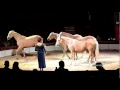 Yasmine Smart And Palominos Horses At Zippos Circus 2011