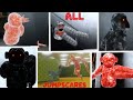 SCARY BABOON ALL JUMPSCARES UPDATED Jumpscare Compilation