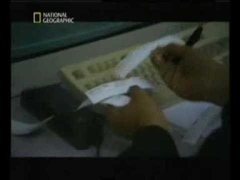 mayday alarm im cockpit vom Kurs abgekommen Teil 1