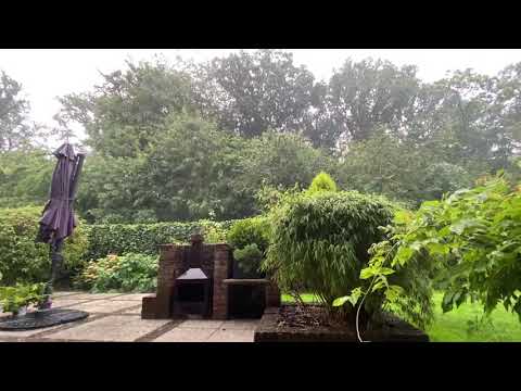 Onweer 3 - Messembos Hogeweg Sint-Andries