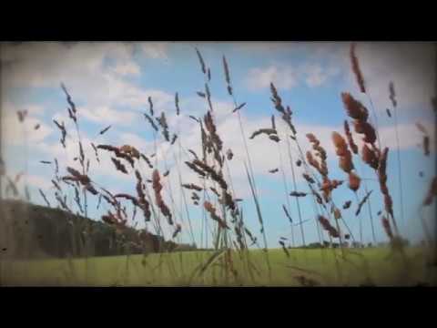 Wolfgang Lederer - Wolfgang Lederer – Dreaming (Official Music Video)