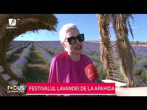 FESTIVALUL LAVANDEI DE LA APAHIDA