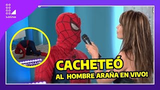 Milena Zárate se vengó y cacheteó al hombre araña por mentiroso (Sexy woman slaps Spiderman)