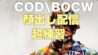 今日も張り切ってCOD；BOCW！！
