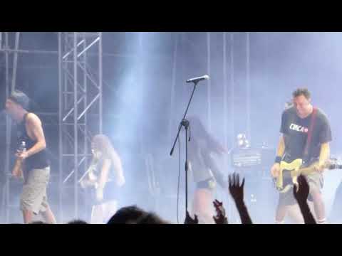 Rumatera   En English