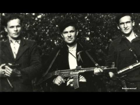 1. lugu – METSAVENNAD