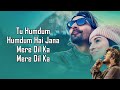 Humdum LYRICS Vishal Mishra SAVI Raj Shekhar Harshvardhan Divya Khosla Anil Kapoor