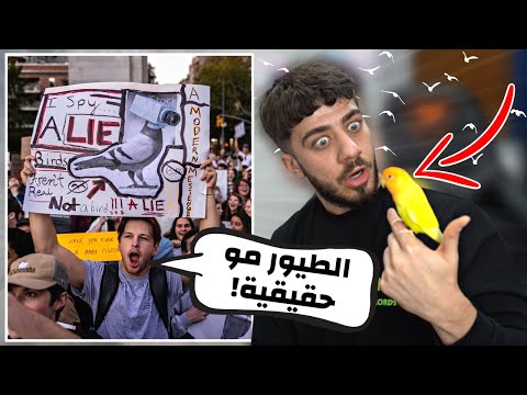 ناس بامريكا يقولو الطيور مش حقيقية 🤡