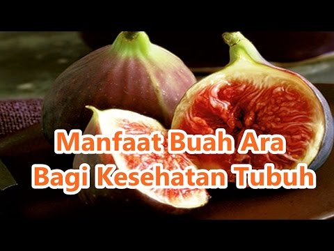Agen penyebab masak perempuan Pengobatan prostat impotensi