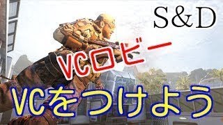 【BO3:実況】野良VCでフレンドできた