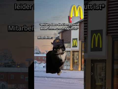 POV: Ihr fahrt zu McDonalds😆 #katzenvideos #katze #lustig #shorts #mcdonalds