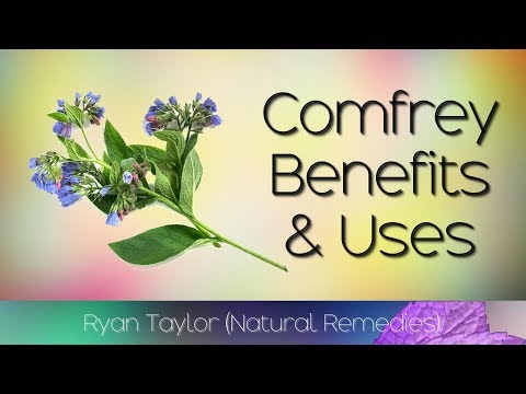 Comfrey: Benefits and Uses