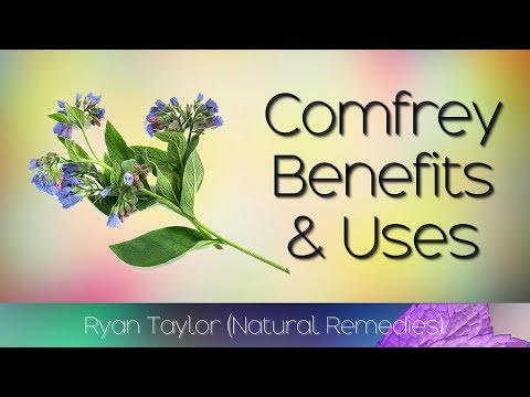 Comfrey- benefits and uses