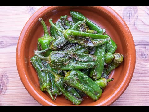 Bratpaprika zubereiten, Pimientos de Padron als original spanische Tapas auf den Tisch zaubern