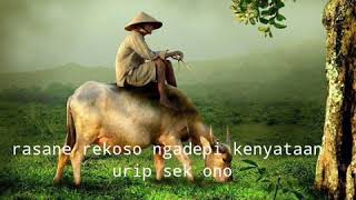 Download lagu kata bijak jawa mp3 Download lagu kata bijak jawa mp3