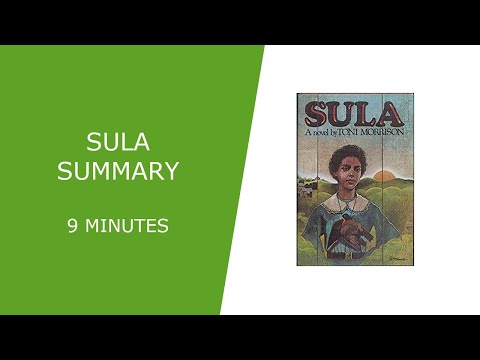 Sula Summary