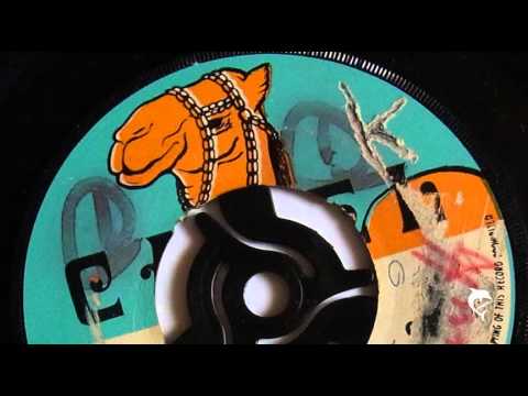 The Hippie Boys - Cat Nip (1969) Camel 29 A