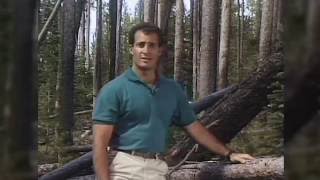 Classic Cantore Moments From the Past 30 Years #cantore30