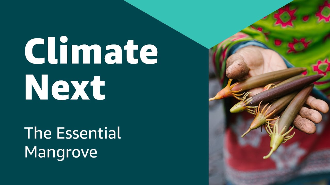 Missing alt text value