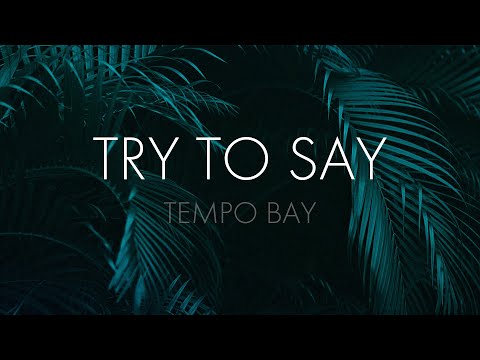 Tempo Bay - Try To Say
