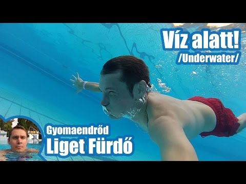hogyan lehet megölni a szalagparazitát