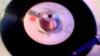 REX GILDO - LOVE A LITTLE BIT (ARIOLA)