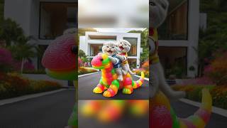 Download lagu kucing lucu tertawa melihat gummy ular ulat binasaurus warna warni #catcute #funny #shorts mp3 Download lagu kucing lucu tertawa melihat gummy ular ulat binasaurus warna warni #catcute #funny #shorts mp3