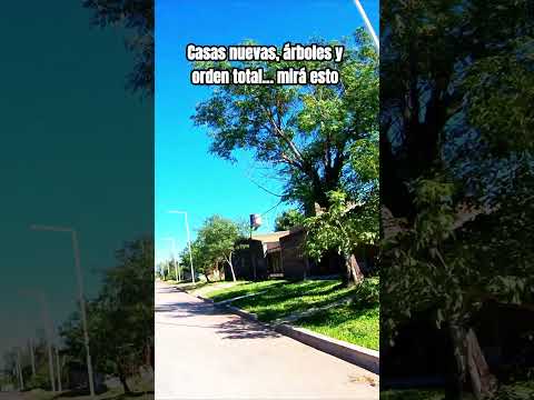 🤯 Calles perfectas, árboles y orden total… ¿dónde es?