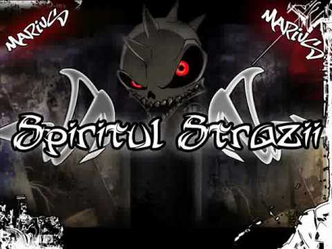 SpiritulStrazii-Debut 2010