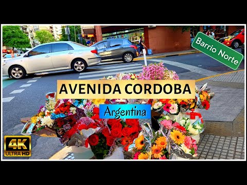 【4K】Walking Tour of Buenos Aires - AVENIDA CORDOBA - Barrio Norte - Argentina