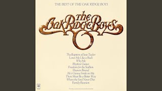 Freedom for the Stallion