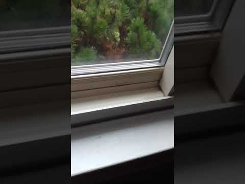 Mission possible Janitorial Services video.