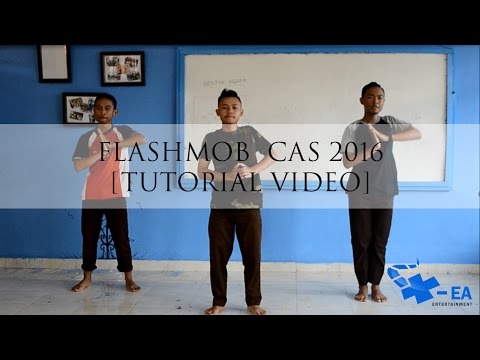 Flashmob CAS 2016 [Tutorial Video]
