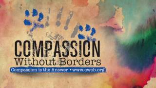 22 Dogs Saved from Animal Control in Mexico