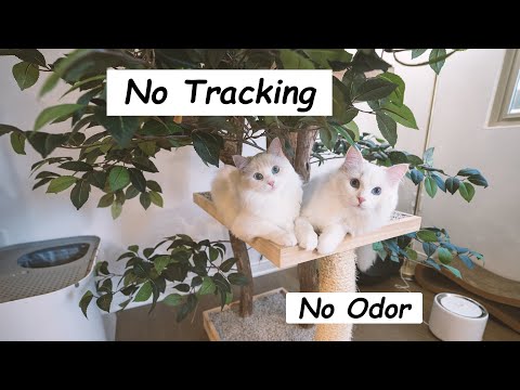 A NEW Approach to Cat Litter (No more LITTER Tracking!) | The Cat Butler