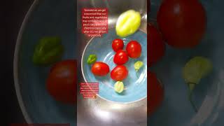 The best way to wash vegetables #vegetables #cleaninghacks #augdailyshorts #asmr