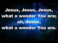 Jesus, What A Wonder