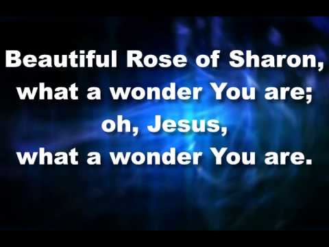 Jesus, What A Wonder