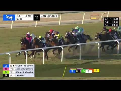 Pegasus World Cup Turf (G1) - COLONEL LIAM Winner...