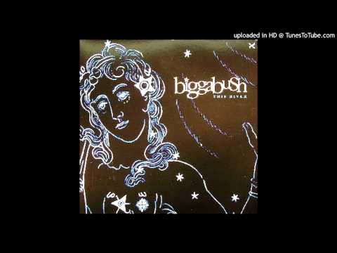 Bigga Bush - Outernational Anthem (Tweak's _ll_g_l Remix)