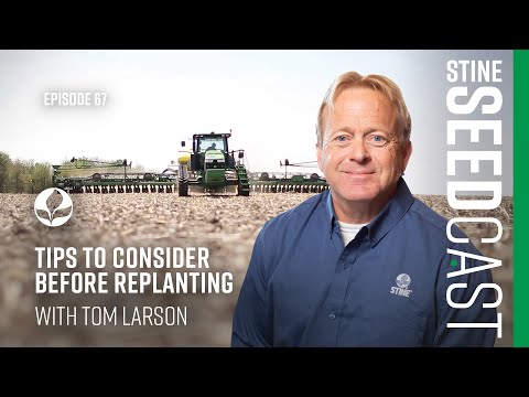 Tips to Consider Before Replanting with Tom Larson