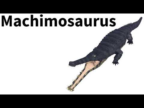 My Favorite Crocodylomorph Dinosaur: Machimosaurus (Remake)