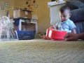 Tripp Baby Beethoven Jul 2009