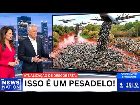 A Invasão dos Peixes-Cabeça-de-Cobra na Geórgia Estava Sob Controle — Até que Anos Depois, Tudo Mudo