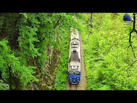 Mega Horns Show by Regina Bihorului - Jimmy 65-1300-6 in Apuseni Mountains [Spring Edition]