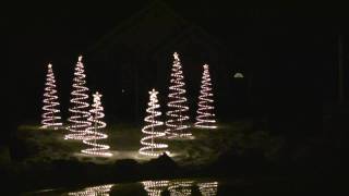 Christmas Display 2009 5/5