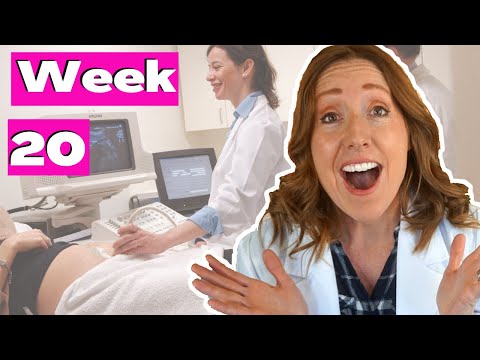 20 Weeks Pregnant in Months | PLUS the 20 Week Ultrasound.