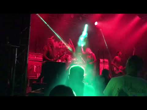 REACTORY - Josefstadt 2021