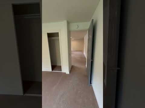 Millie Ct - 2527 - Video 2 of 2