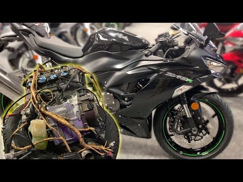 DIY Gold Wiring Harness - Am I Buying The 2019 Zx6r?